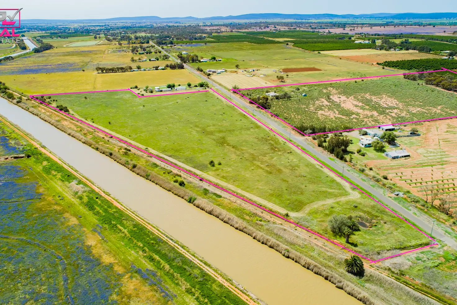 Main view of Homely rural property listing, 221 Canal Road, Leeton NSW 2705