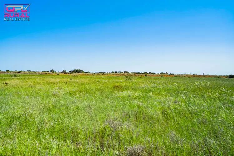 Second view of Homely rural property listing, 221 Canal Road, Leeton NSW 2705