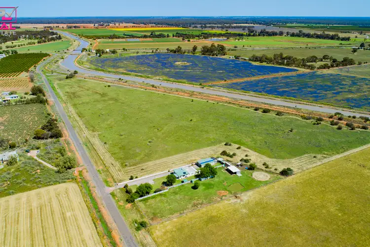 Fourth view of Homely rural property listing, 221 Canal Road, Leeton NSW 2705