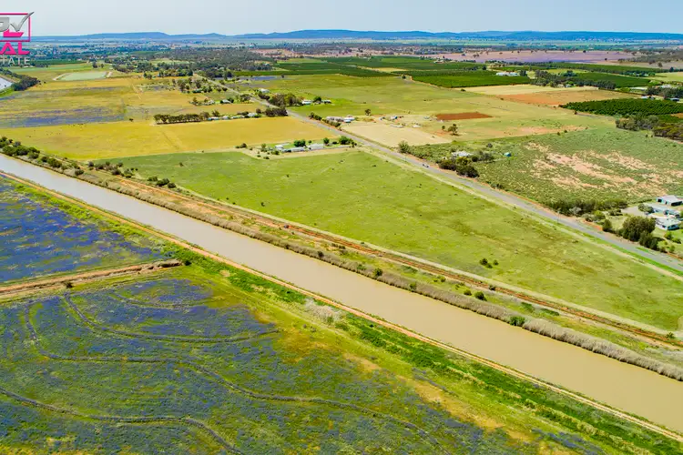 Fifth view of Homely rural property listing, 221 Canal Road, Leeton NSW 2705