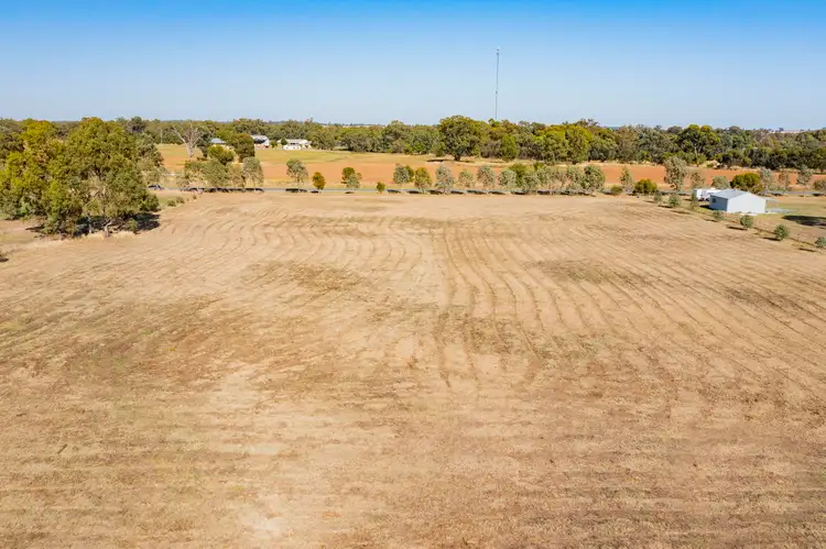 Seventh view of Homely land listing, 127 Treasure Street, Lockhart NSW 2656