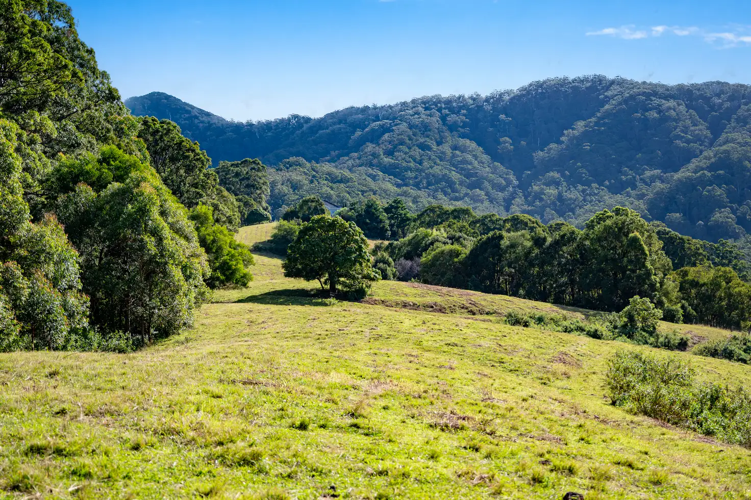 Main view of Homely rural property listing, Lot 94 Cassidys Road, Bonville NSW 2450
