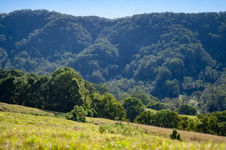 Sixth view of Homely rural property listing, Lot 94 Cassidys Road, Bonville NSW 2450