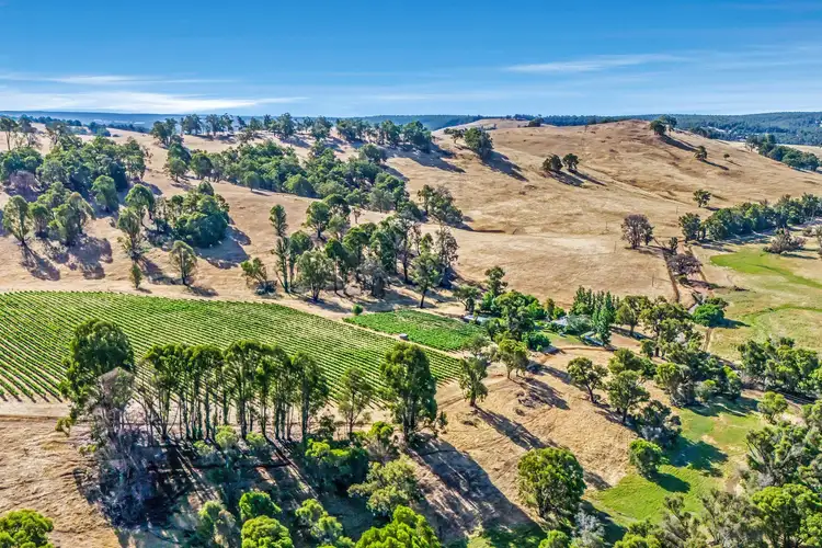 Second view of Homely rural property listing, 254 Mandalay Road, Glen Mervyn WA 6239