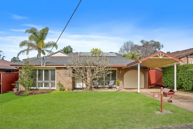 Main view of Homely house listing, 31 Claudia Road, Toongabbie NSW 2146
