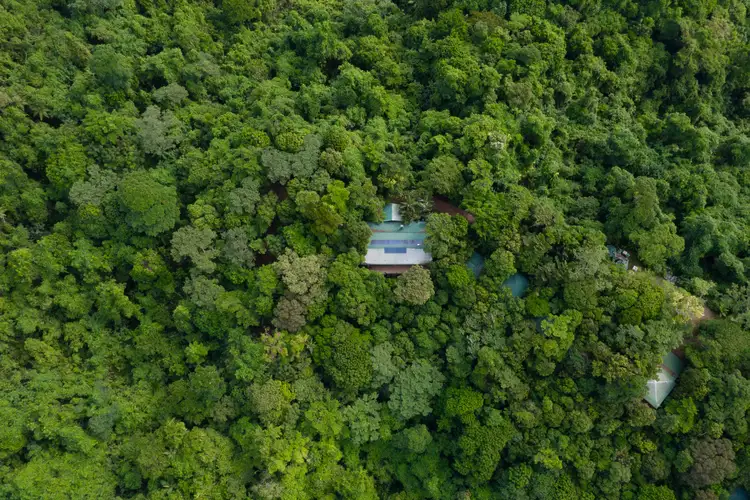 Sixth view of Homely rural property listing, 72 Holt Road, Garners Beach QLD 4852