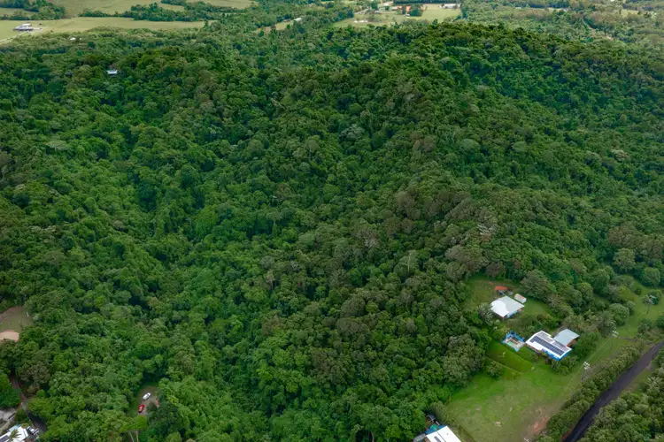 Seventh view of Homely rural property listing, 72 Holt Road, Garners Beach QLD 4852