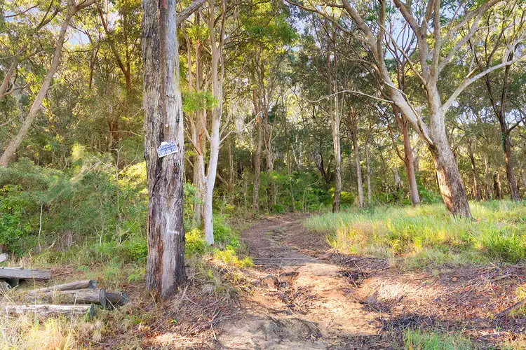 Fifth view of Homely rural property listing, 20 James Norton Road, Bensville NSW 2251