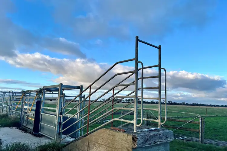Sixth view of Homely rural property listing, Castle Carey Road, Mortlake VIC 3272