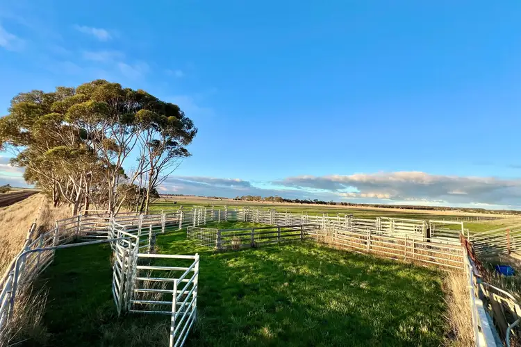 Seventh view of Homely rural property listing, Castle Carey Road, Mortlake VIC 3272