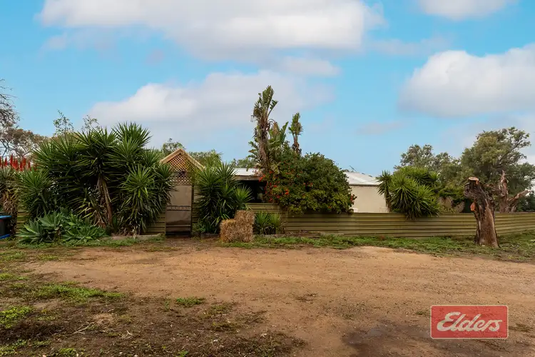 Main view of Homely house listing, 341 Devon Road, Lower Light SA 5501