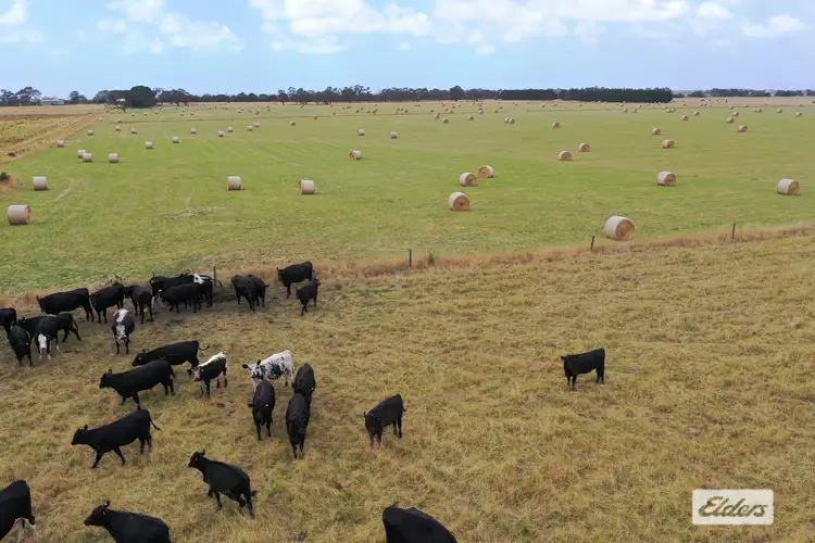 Third view of Homely rural property listing, Brewery Road, Alberton VIC 3971