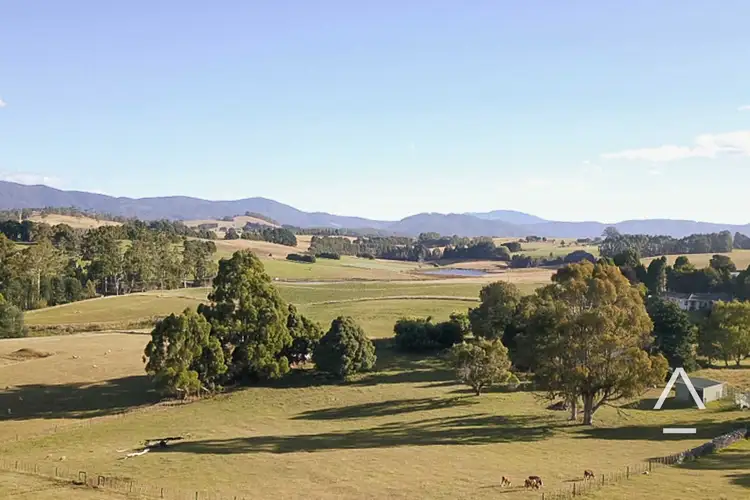 Fourth view of Homely land listing, 13 French Street, Scottsdale TAS 7260