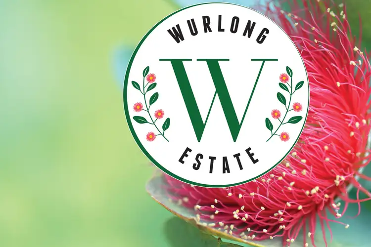 Third view of Homely land listing, Lot 1 Wurlong Drive, Gol Gol NSW 2738