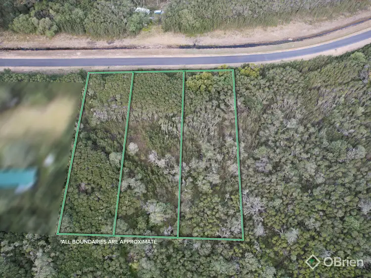 Second view of Homely land listing, 140 Hollands Landing Road, Hollands Landing VIC 3862