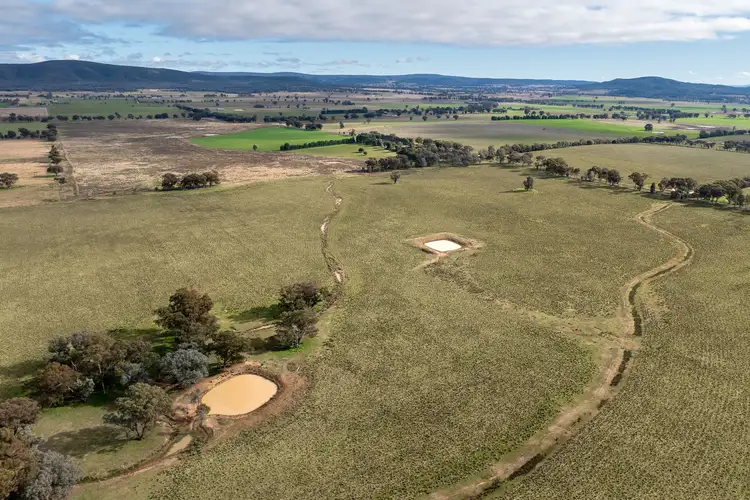 235 Barrs Road, Cowra NSW 2794