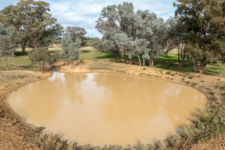 Sixth view of Homely rural property listing, 235 Barrs Road, Cowra NSW 2794