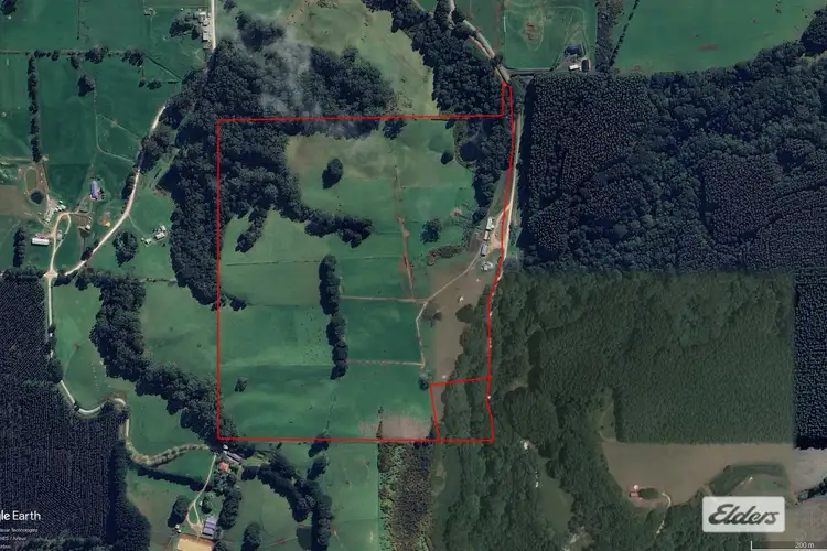 184 Youngs Road, Irishtown TAS 7330