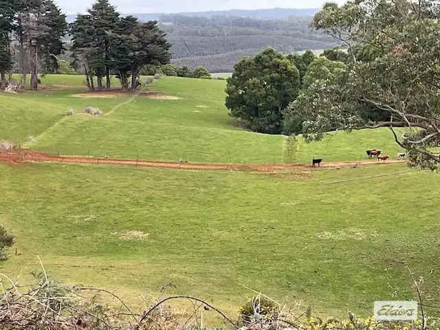 Second view of Homely rural property listing, 184 Youngs Road, Irishtown TAS 7330