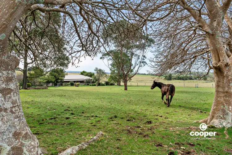 456A Croobyar Road, Croobyar NSW 2539