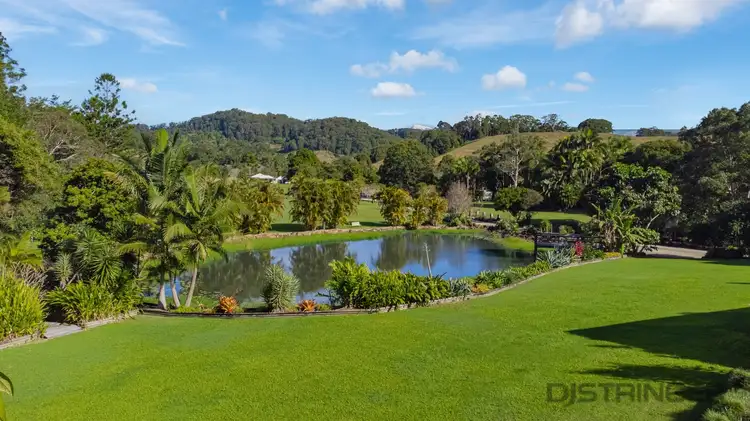 Third view of Homely rural property listing, 22 Cabbage Gum Road, Cudgera Creek NSW 2484