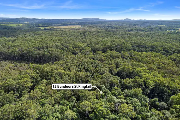 Second view of Homely land listing, 12 Bundoora Street, Ringtail Creek QLD 4565