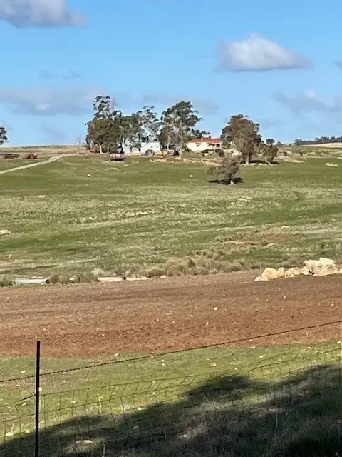 Main view of Homely rural property listing, 3458 Great Southern Highway, York WA 6302