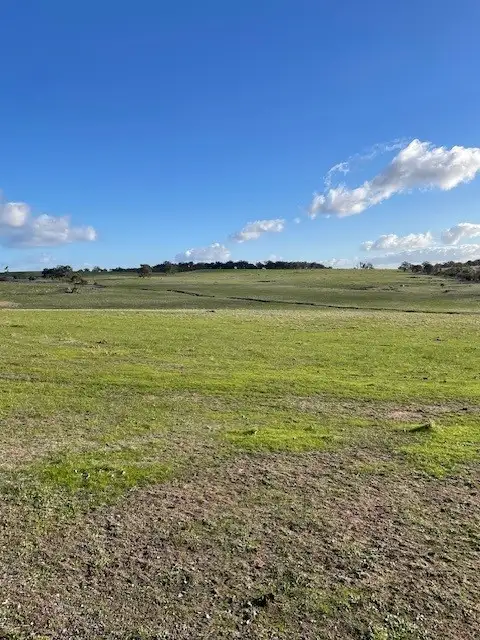 Second view of Homely rural property listing, 3458 Great Southern Highway, York WA 6302
