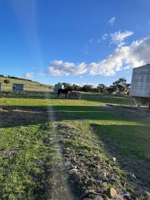 Sixth view of Homely rural property listing, 3458 Great Southern Highway, York WA 6302