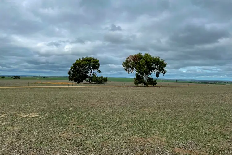 Fourth view of Homely rural property listing, 4529 Kulin-Lake Grace Road, Kuender WA 6353