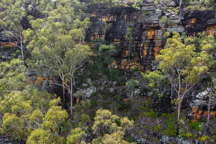 Second view of Homely rural property listing, 25-67 Boundary Road, Kremnos NSW 2460
