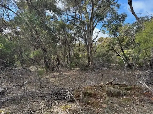 Main view of Homely rural property listing, LOT CA5 Scotts Lane, Wedderburn VIC 3518
