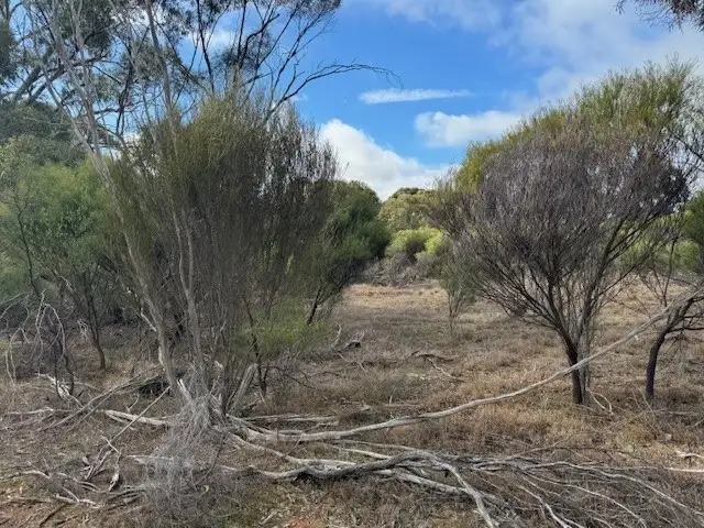 Third view of Homely rural property listing, LOT CA5 Scotts Lane, Wedderburn VIC 3518