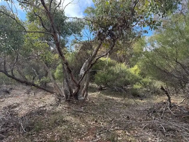 Fourth view of Homely rural property listing, LOT CA5 Scotts Lane, Wedderburn VIC 3518