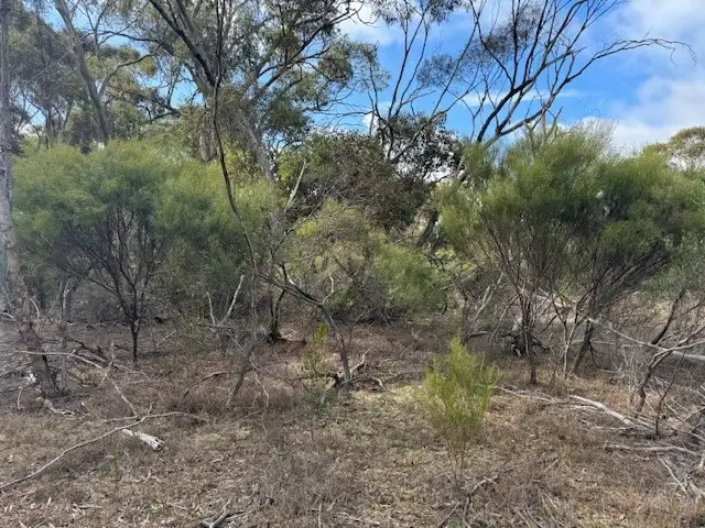 Fifth view of Homely rural property listing, LOT CA5 Scotts Lane, Wedderburn VIC 3518