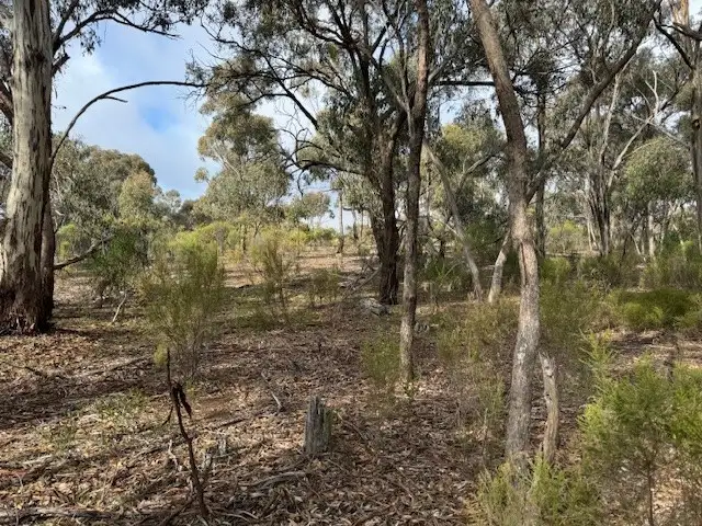 Sixth view of Homely rural property listing, LOT CA5 Scotts Lane, Wedderburn VIC 3518