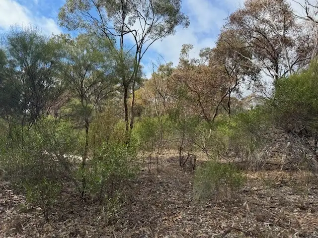 Seventh view of Homely rural property listing, LOT CA5 Scotts Lane, Wedderburn VIC 3518