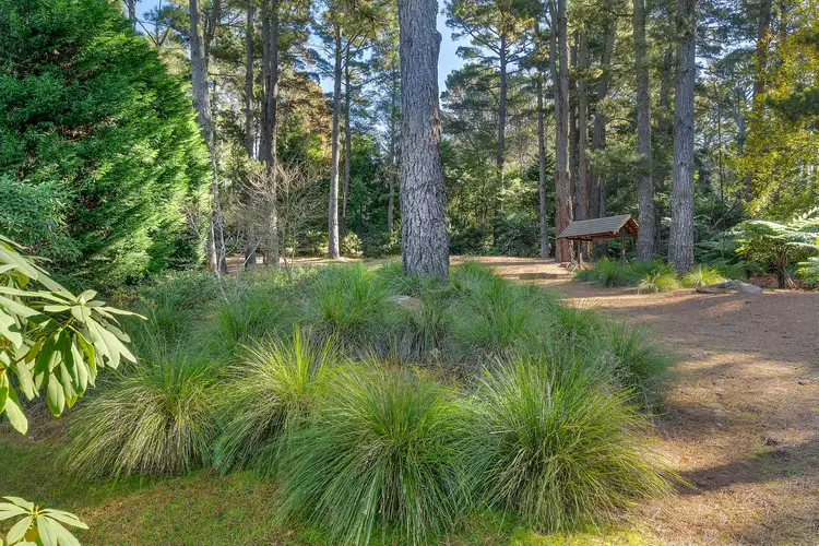 Fifth view of Homely land listing, 83 Wilson Street, Wentworth Falls NSW 2782