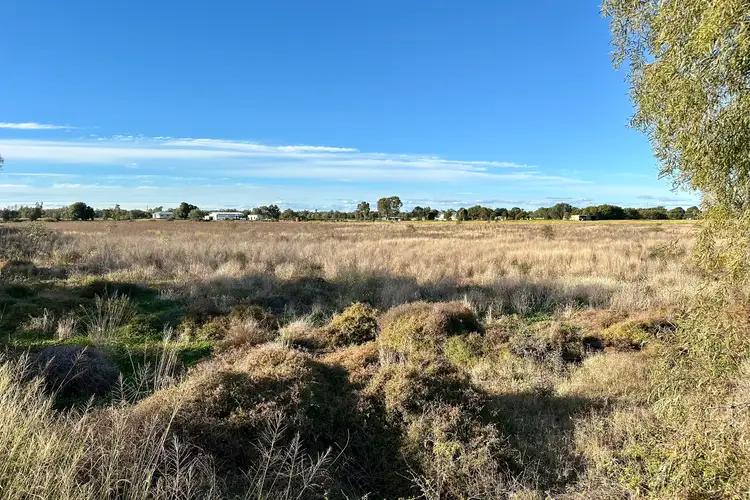 Seventh view of Homely land listing, 263 Warialda Street, Pallamallawa NSW 2399