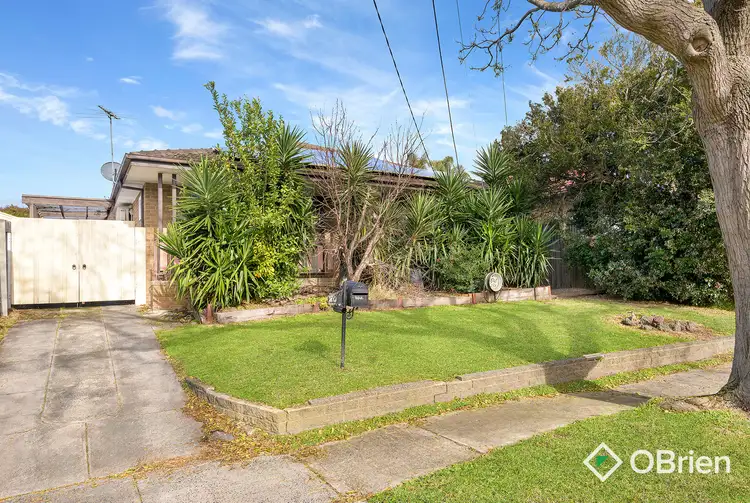 Main view of Homely house listing, 20 Kashmir Crescent, Frankston VIC 3199