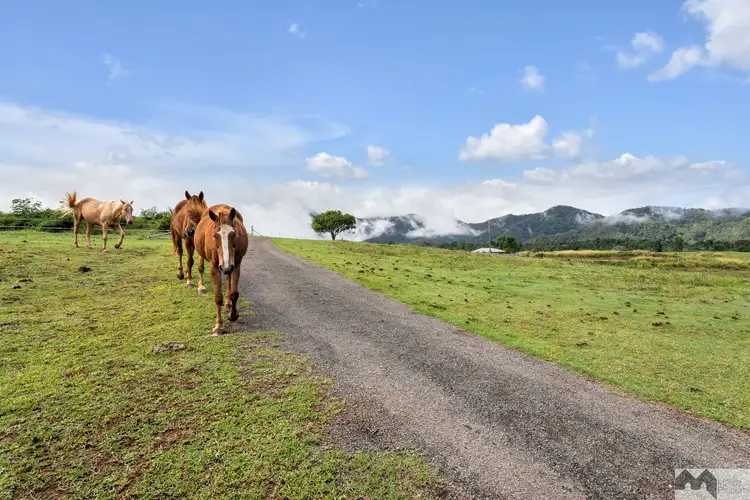 Seventh view of Homely rural property listing, 366 Goldsborough Road, Goldsborough QLD 4865