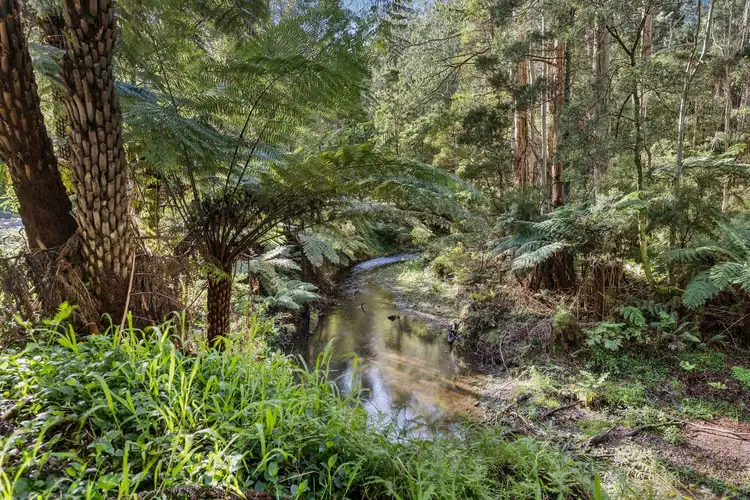 Fourth view of Homely rural property listing, 780 Barham River Road, Apollo Bay VIC 3233
