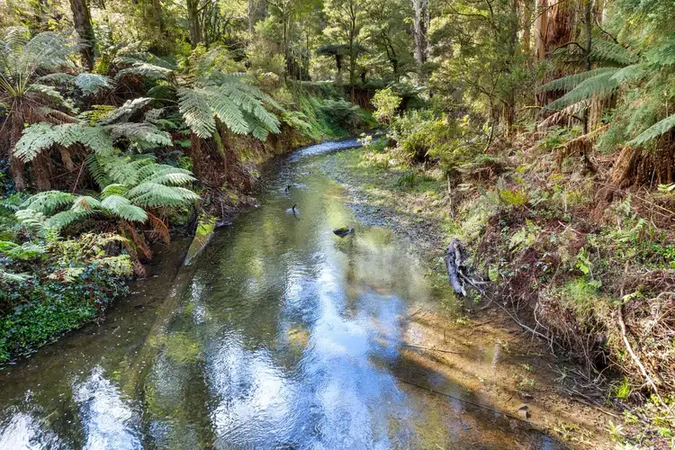 Fifth view of Homely rural property listing, 780 Barham River Road, Apollo Bay VIC 3233