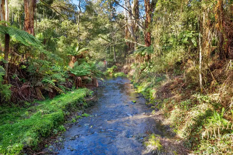 Sixth view of Homely rural property listing, 780 Barham River Road, Apollo Bay VIC 3233