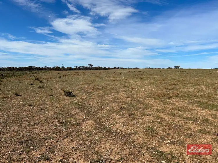Sec 425 Government Road, Sutherlands SA 5374
