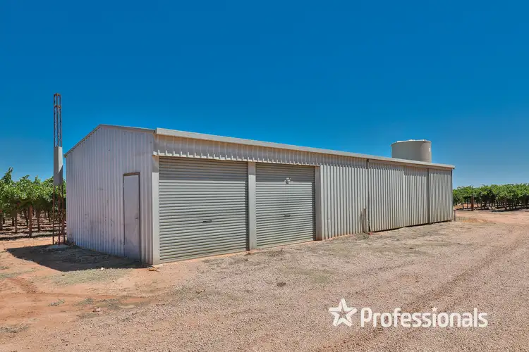 Third view of Homely rural property listing, 344 Fifth Street, Merbein VIC 3505