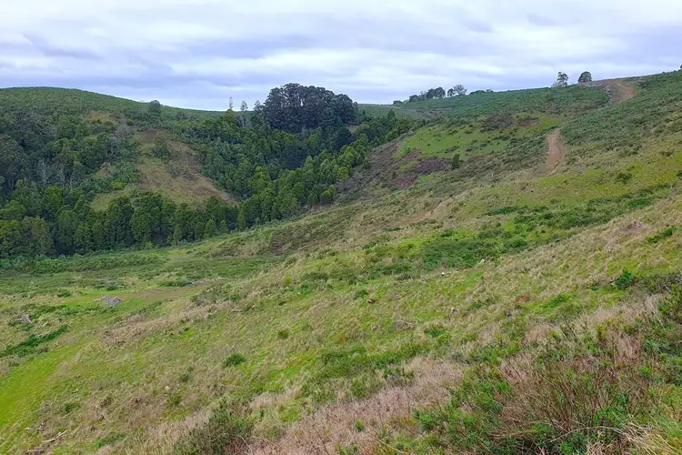 Second view of Homely land listing, 1145 Whitelaws Track, Budgeree VIC 3870