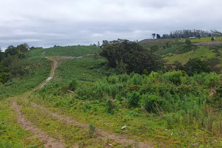 Fifth view of Homely land listing, 1145 Whitelaws Track, Budgeree VIC 3870