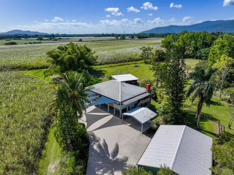 Fifth view of Homely rural property listing, 61 Page Road, Edmonton QLD 4869