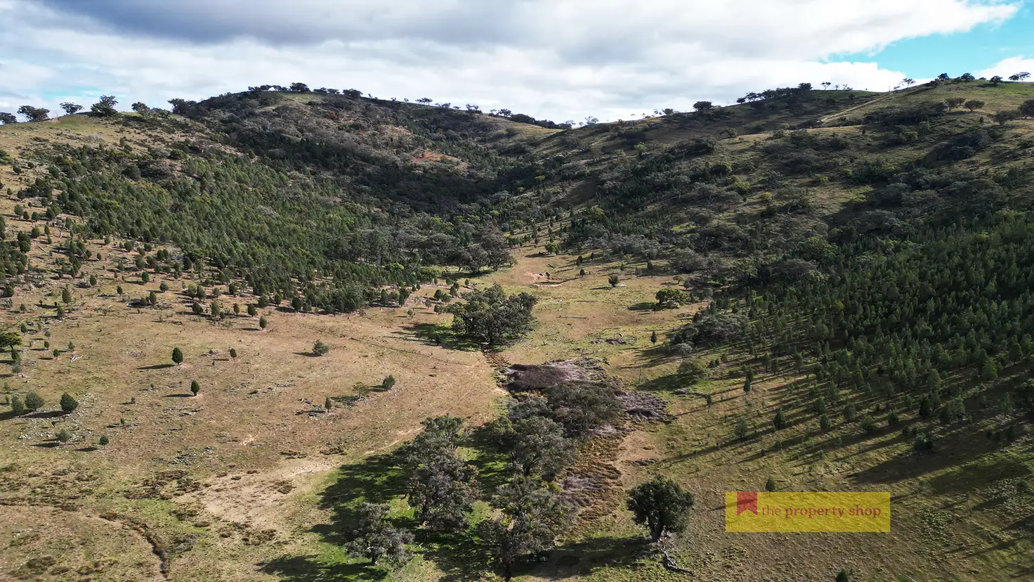 Main view of Homely rural property listing, 2/1324 Yarrabin Road, Mudgee NSW 2850